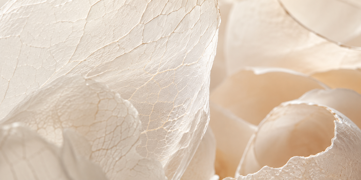 Meet the Bio-Peptide Matrix: What Egg Shell Membrane Does for Aging Skin