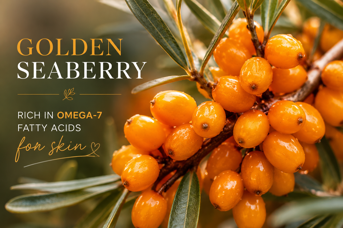 What Is Seaberry? The Anti-Aging Ingredient Behind AgeLess Zen